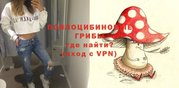 амф Абинск