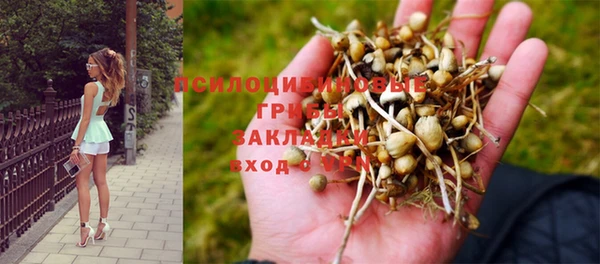 амф Абинск