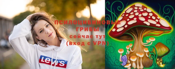 амф Абинск
