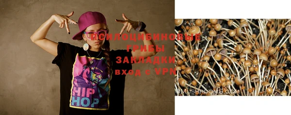амф Абинск